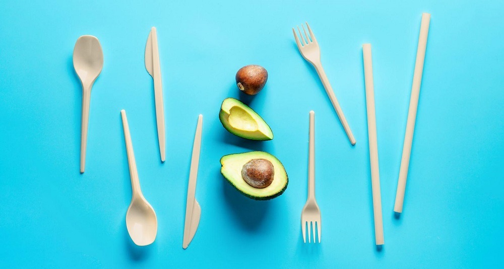 هسته آووکادو