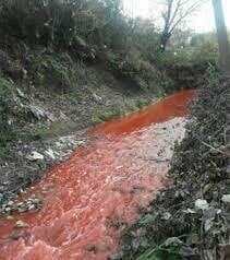 حال مازندران خوب نیست/ فاجعه زیست محیطی