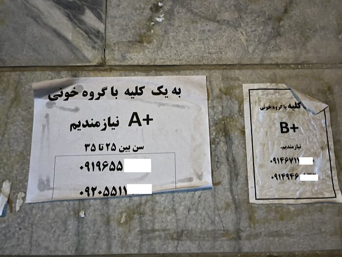 عضو بدن شما را خریداریم! / فروش دلاری کلیه با سفر ایرانی ها به ترکیه و عراق  عضو بدن شما را خریداریم! / فروش دلاری کلیه با سفر ایرانی ها به ترکیه و عراق