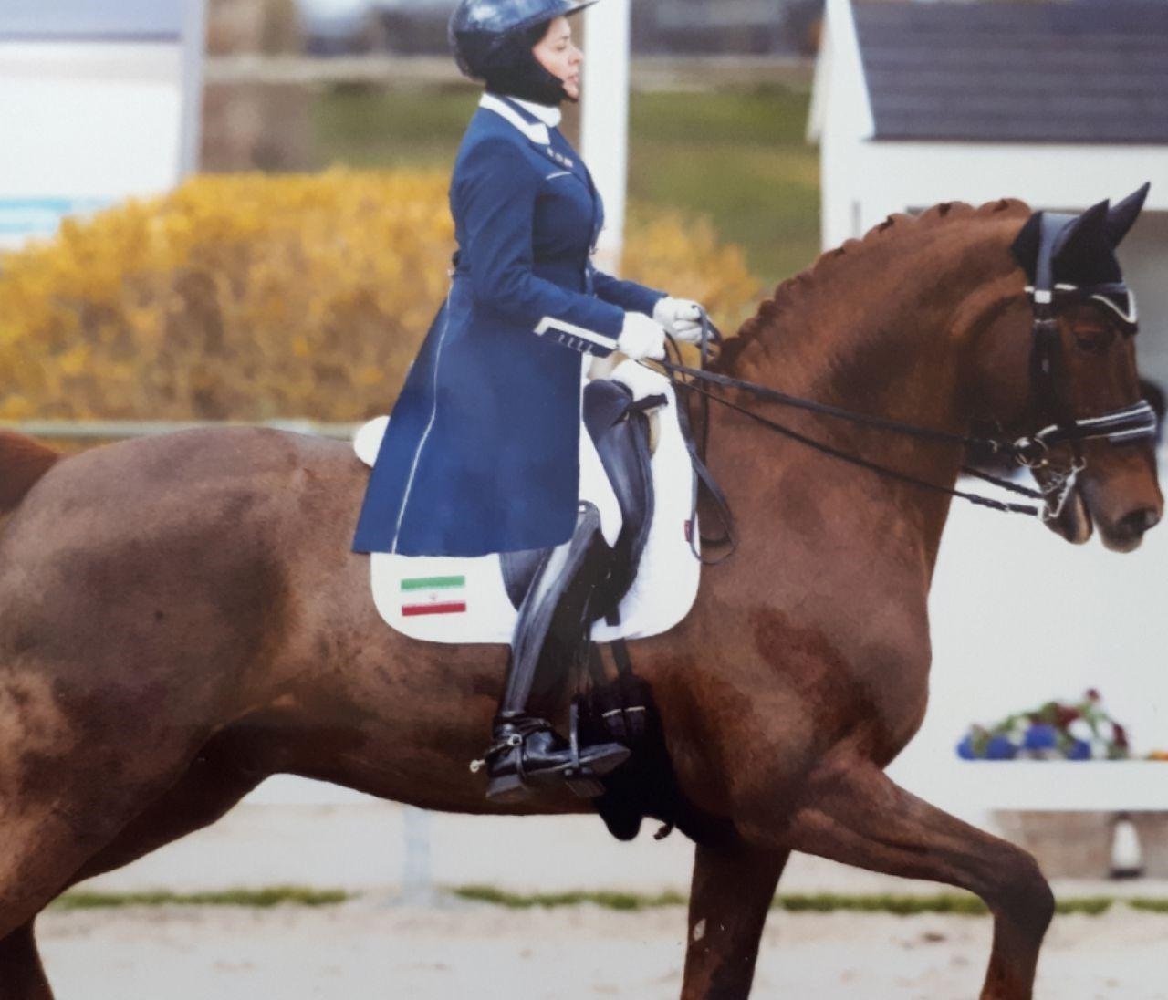 سجادی : مشکل مالکیت مشترک استقلال و پرسپولیس برطرف شده است سجادی : مشکل مالکیت مشترک استقلال و پرسپولیس برطرف شده است
