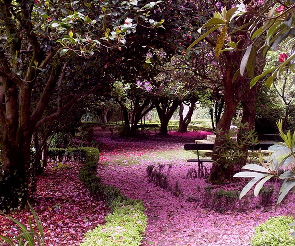 صومعه قدیمی با یک باغ متفاوت(+عکس)