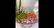 طرز تهیه سالاد اندونزی خوشمزه و سریع برای مهمانی