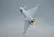 نمایش جنگنده‌های یوروفایتر در شهر مادرید