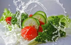 با این غذاها آب بدنتان را تامین کنید