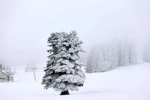 اینجا دیروز ۲۵۰ سانتیمتر برف بارید!