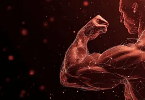 بدون این پروتئین، عضله آسیب‌دیده به چربی تبدیل می‌شود