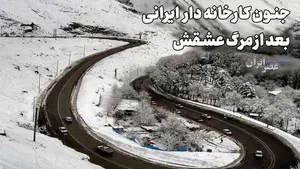 دود شدن پول های زبان بسته(+صدا)