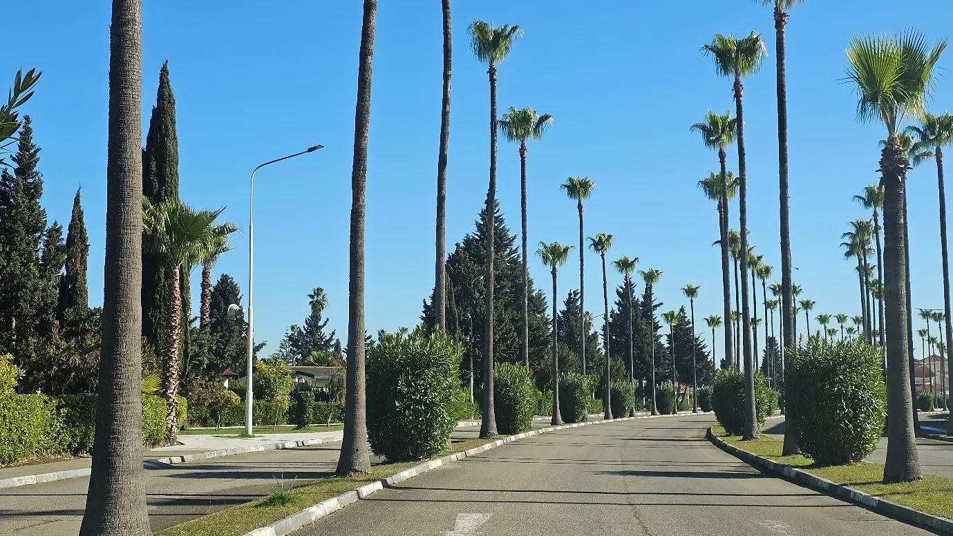 اجاره ویلا دریاکنار اجاره ویلا دریاکنار