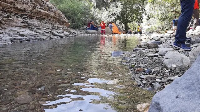 چال ماهی چال ماهی