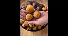 با شروع مدرسه این میان‌وعده‌ها را برای بچه‌ها آماده کنید
