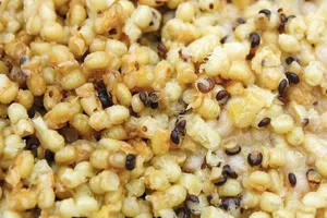 لارو و شفیره زنبور عسل؛ منبعی مغذی با ظرفیت غذایی بالا