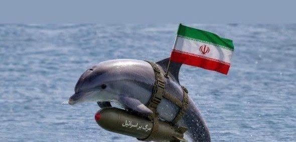 تصویر ساختگی از دلفین انتحاری تصویر ساختگی از دلفین انتحاری
