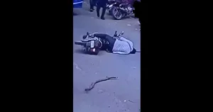 سقوط شاخه خشک درخت بر سر موتورسوار