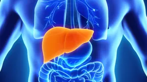 رازهای کبد؛ سفر به درون پیچیده ترین پالایشگاه بدن (+اینفوگرافیک)