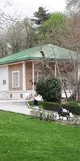 کنیزکان زیبا و کاخ های طلایی/ موزه و خانه استاد حسین بهزاد