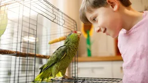 چرا طوطی ها مثل انسان حرف می زنند؟