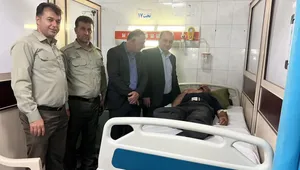 حمله خونین قاچاقچی چوب با تبر به جنگلبان چالوسی در روز ملی جنگلبان