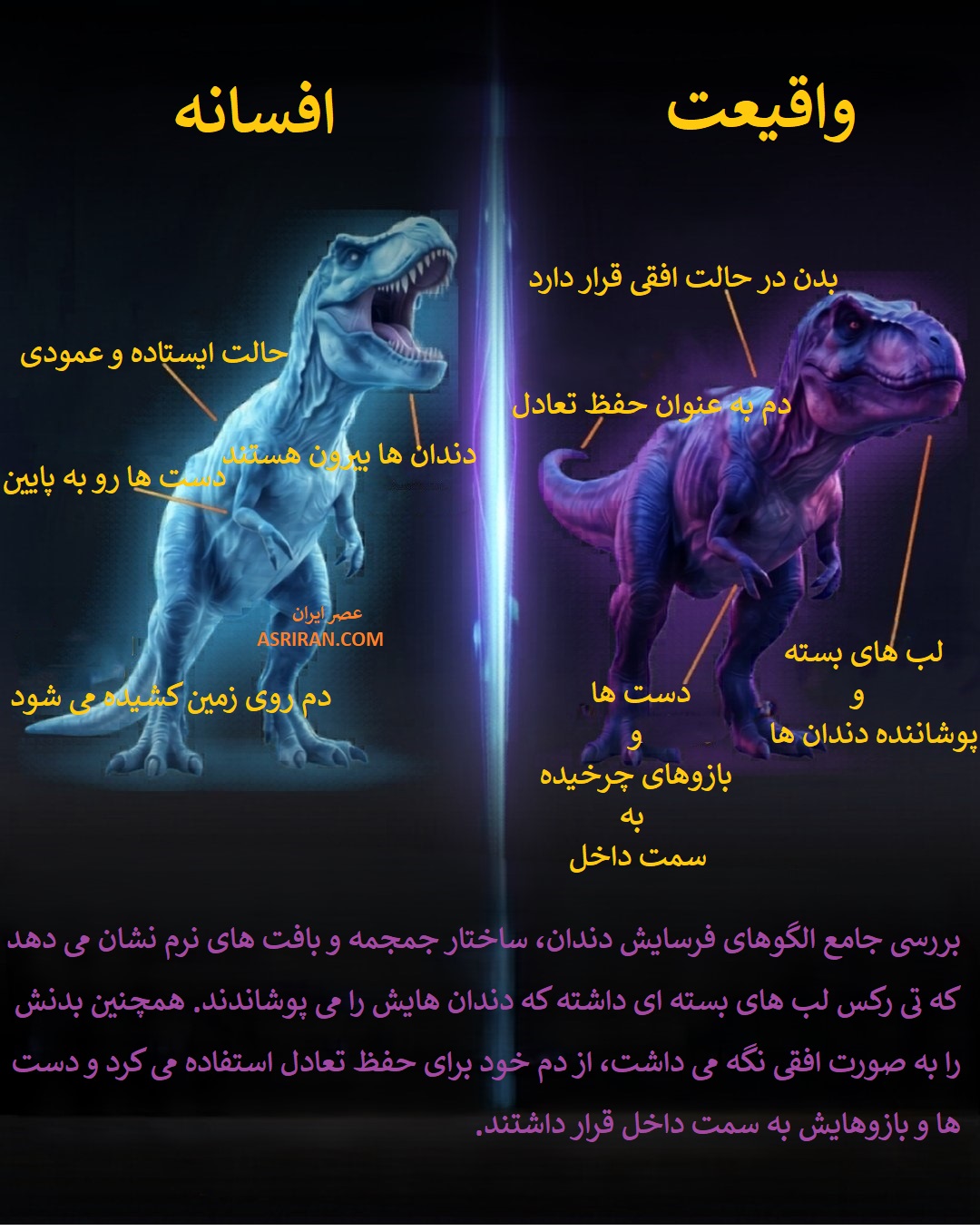 برای دهه ها، فرهنگ عامه تیرانوسوروس رکس را به شکل هیولایی ایستاده با دمی کشیده روی زمین و دندان هایی بزرگ و بیرون زده به تصویر می کشید. اما دیرینه شناسی مدرن جانوری کاملا متفاوت را نشان می دهد. البته فیلم های مطرح هالیودی نیز در نشر این تصور درباره یکی از مطرح ترین دایناسورهای دنیا نقش مهمی داشته اند. برای دهه ها، فرهنگ عامه تیرانوسوروس رکس را به شکل هیولایی ایستاده با دمی کشیده روی زمین و دندان هایی بزرگ و بیرون زده به تصویر می کشید. اما دیرینه شناسی مدرن جانوری کاملا متفاوت را نشان می دهد. البته فیلم های مطرح هالیودی نیز در نشر این تصور درباره یکی از مطرح ترین دایناسورهای دنیا نقش مهمی داشته اند.
