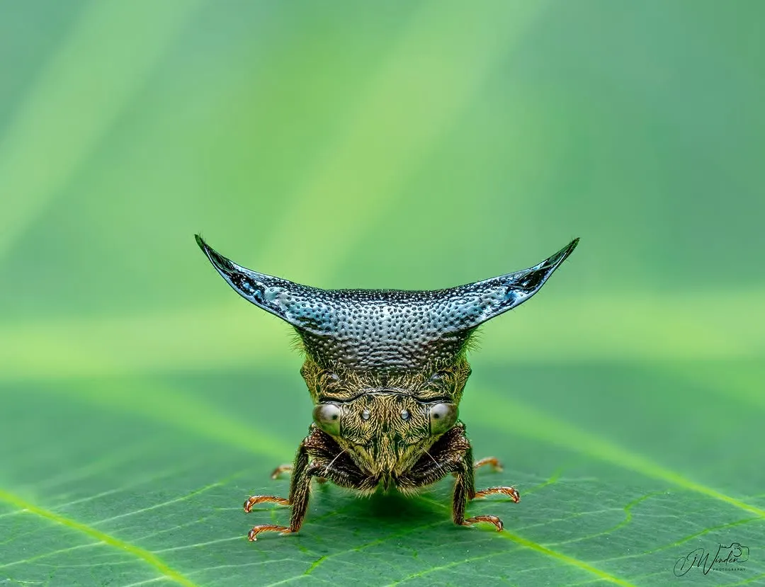 1310