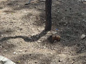 بی‌اعتنایی شهرداری در قبال فرهنگسرای نیاوران! (عکس)