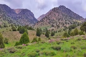 «گلیل» نگینی در مرز ایران و ترکمنستان