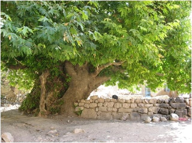 بهشتی گمشده در خراسان شمالی با کوچه آشتی کنان بهشتی گمشده در خراسان شمالی با کوچه آشتی کنان