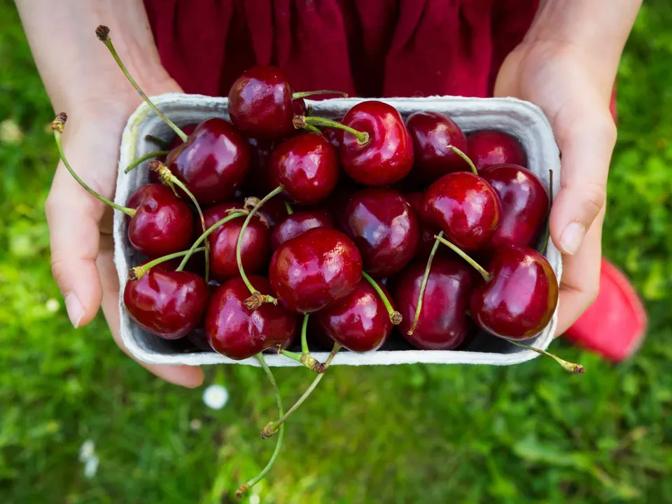 میوه های تابستانی میوه های تابستانی