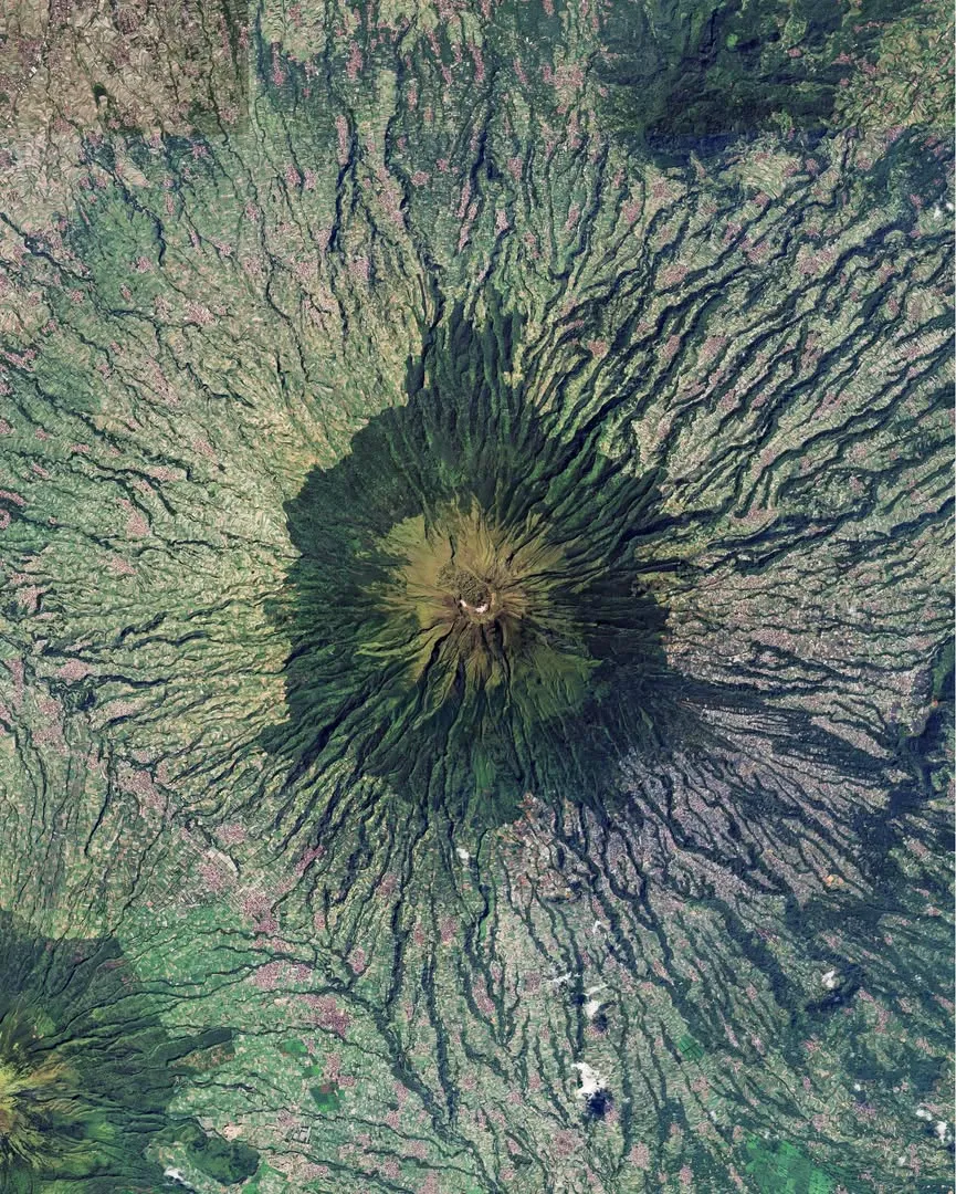170008 170008