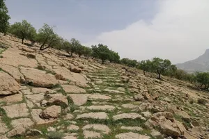 راه شاهی هخامنشی در کوهچنار فارس، یادگاری از پیوند شمال و جنوب پارس (+عکس)
