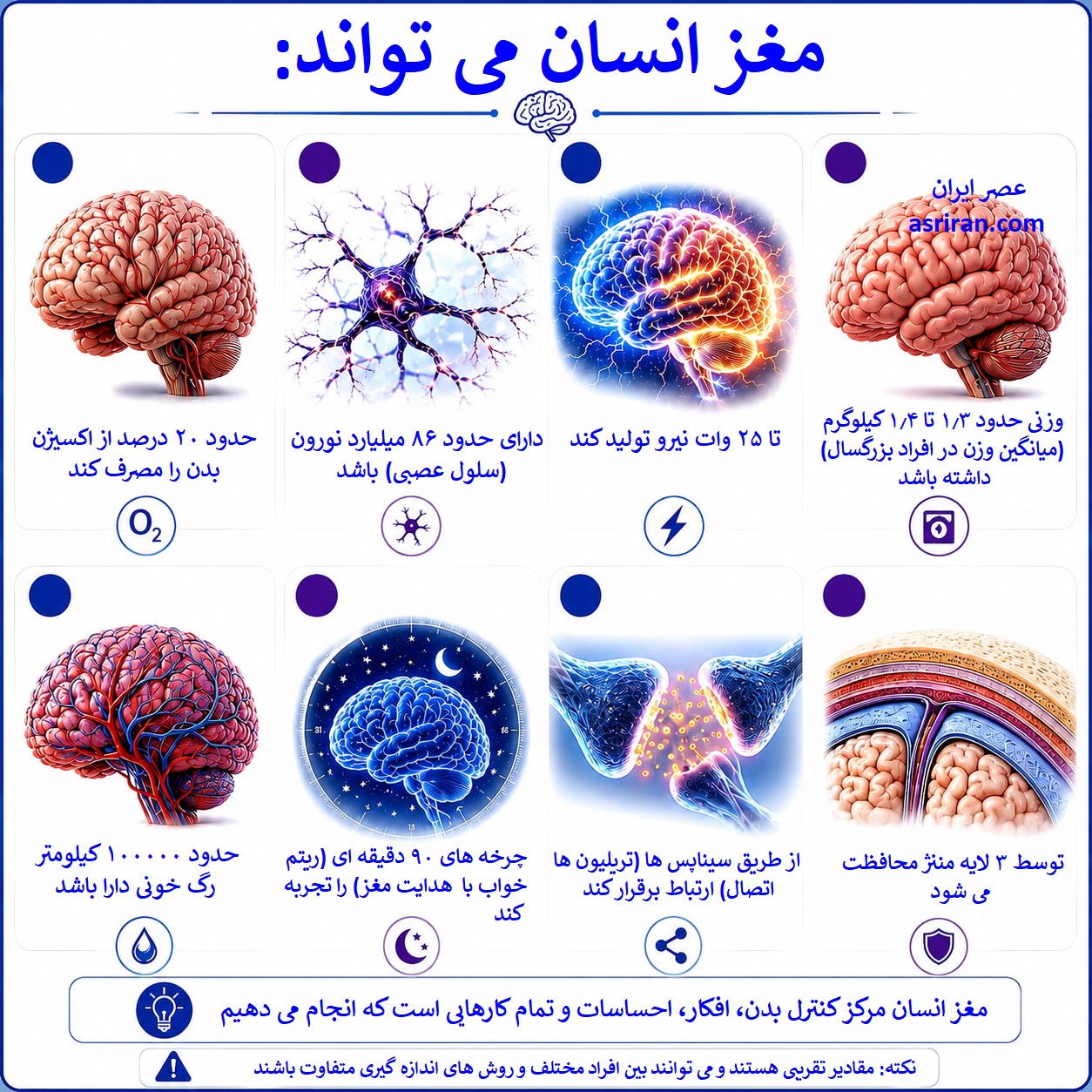 اینفوگرافیک از پیچیدگی های شگفت انگیز مغز انسان اینفوگرافیک از پیچیدگی های شگفت انگیز مغز انسان