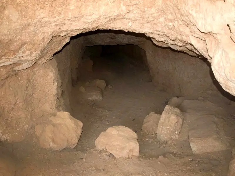 شاپور ساسانی