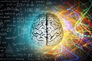 پیری مغز از دهه ۳۰ زندگی آغاز می‌شود؛ چه زمانی باید نگران شد؟