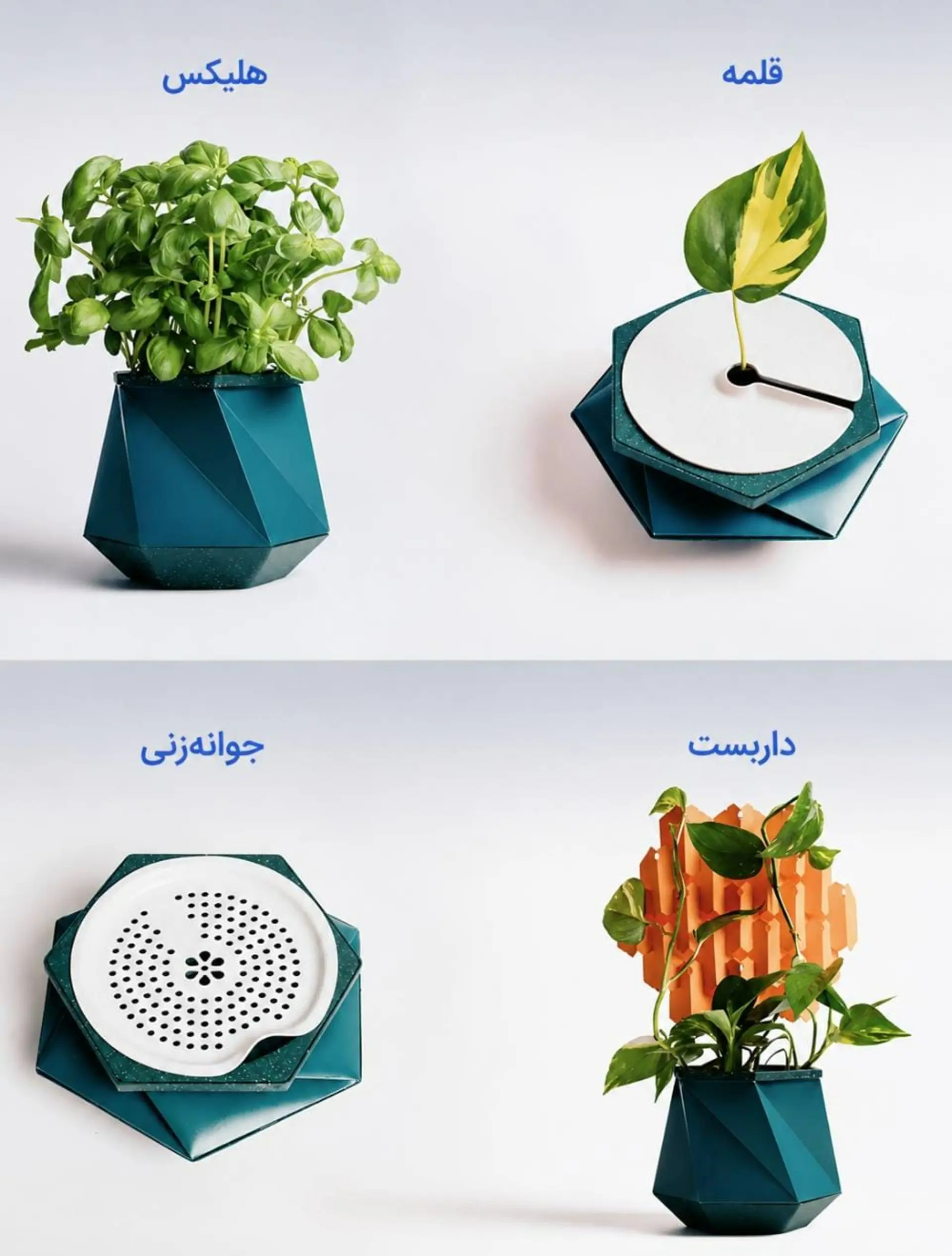 گلدانی که همراه گیاه بزرگ میشود؛ ایدهای نو برای خداحافظی با تعویض گلدان گلدانی که همراه گیاه بزرگ میشود؛ ایدهای نو برای خداحافظی با تعویض گلدان