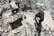 تعداد شهدای غزه به ۷۳ هزار و ۶۵۱ شهید افزایش یافت