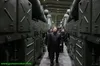 سامانه پرتابگر 5 لوله ای کره شمالی