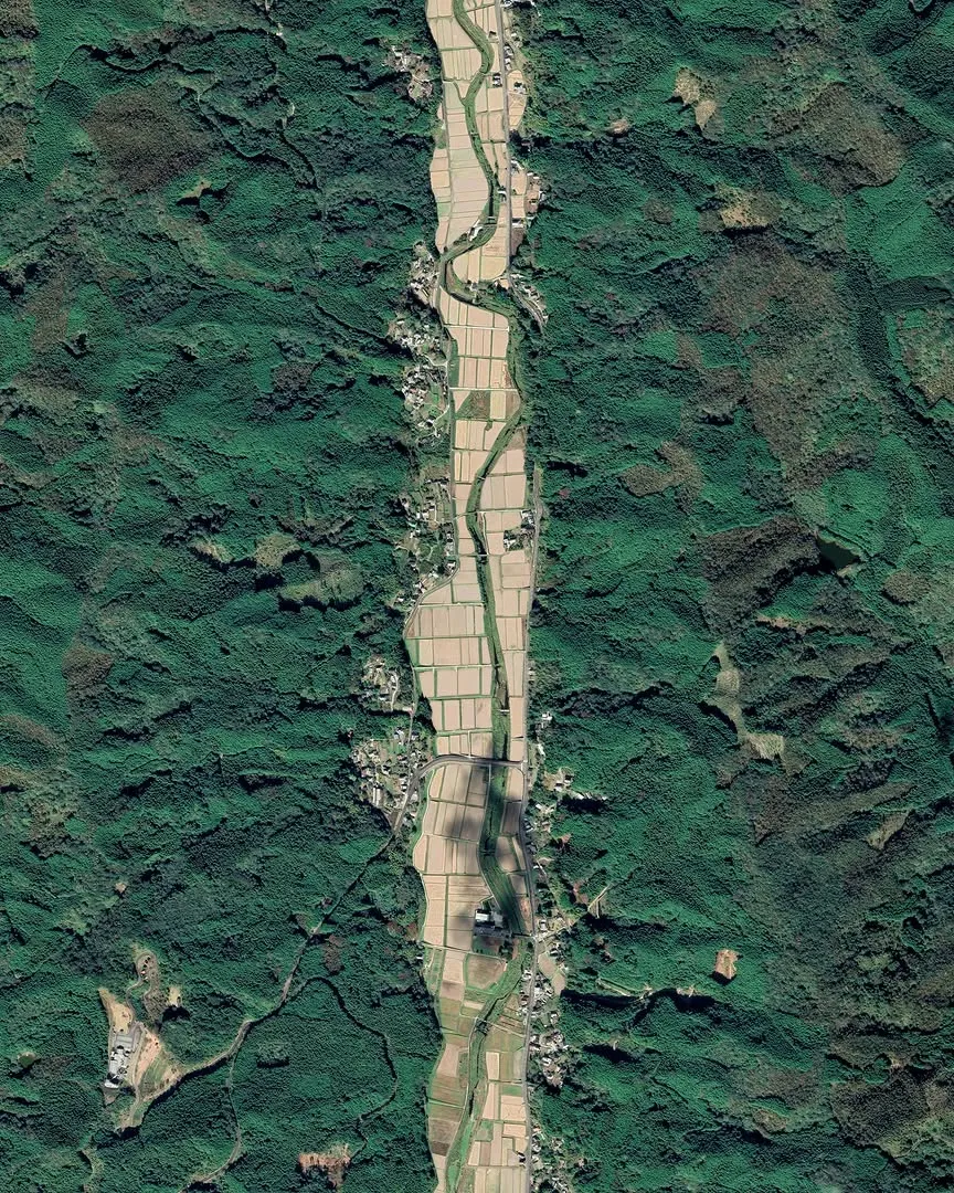 090443 090443