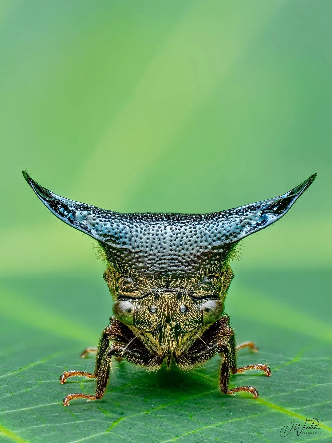 1310