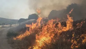 آتش‌سوزی گسترده در ارتفاعات منطقه حفاظت‌شده بمو در شیراز
