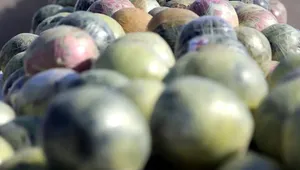 کشف بیش از یک تن مواد مخدر توسط مرزبانی فراجا