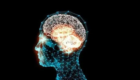 گلوتامات؛ پیام رسان مغز و نقش آن در حافظه، یادگیری و سلامت بدن