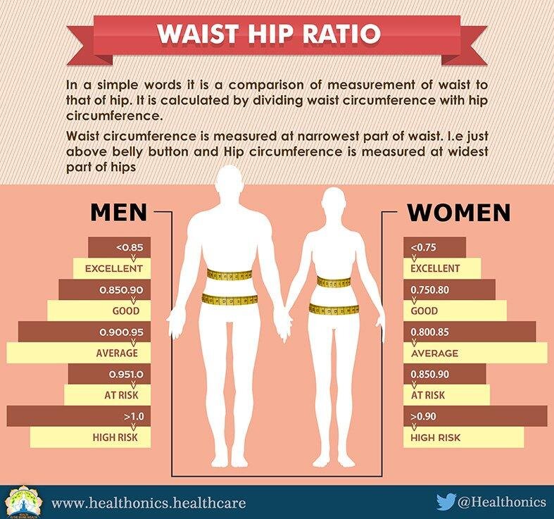 WHR مخفف Waist-to-Hip Ratio است و از تقسیم دور کمر بر دور باسن به دست میآید. WHR مخفف Waist-to-Hip Ratio است و از تقسیم دور کمر بر دور باسن به دست میآید.