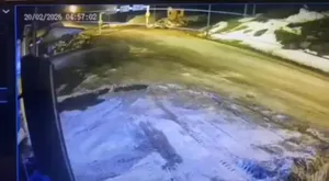 پرواز خودرو دنا و سقوط به دره‌ای در جاده چالوس ۳ کشته برجا گذاشت