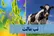 تب مالت، بیماری اندمیک برای ایران / ابتلای سالانه ۱۸تا ۲۰هزار نفر در کشور