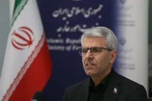 بقائی: در کوه کلنگ هیچ فعالیت هسته‌ای نداریم