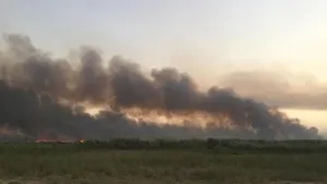 خشکی هورالعظیم موجب گسترش سریع آتش‌سوزی شد