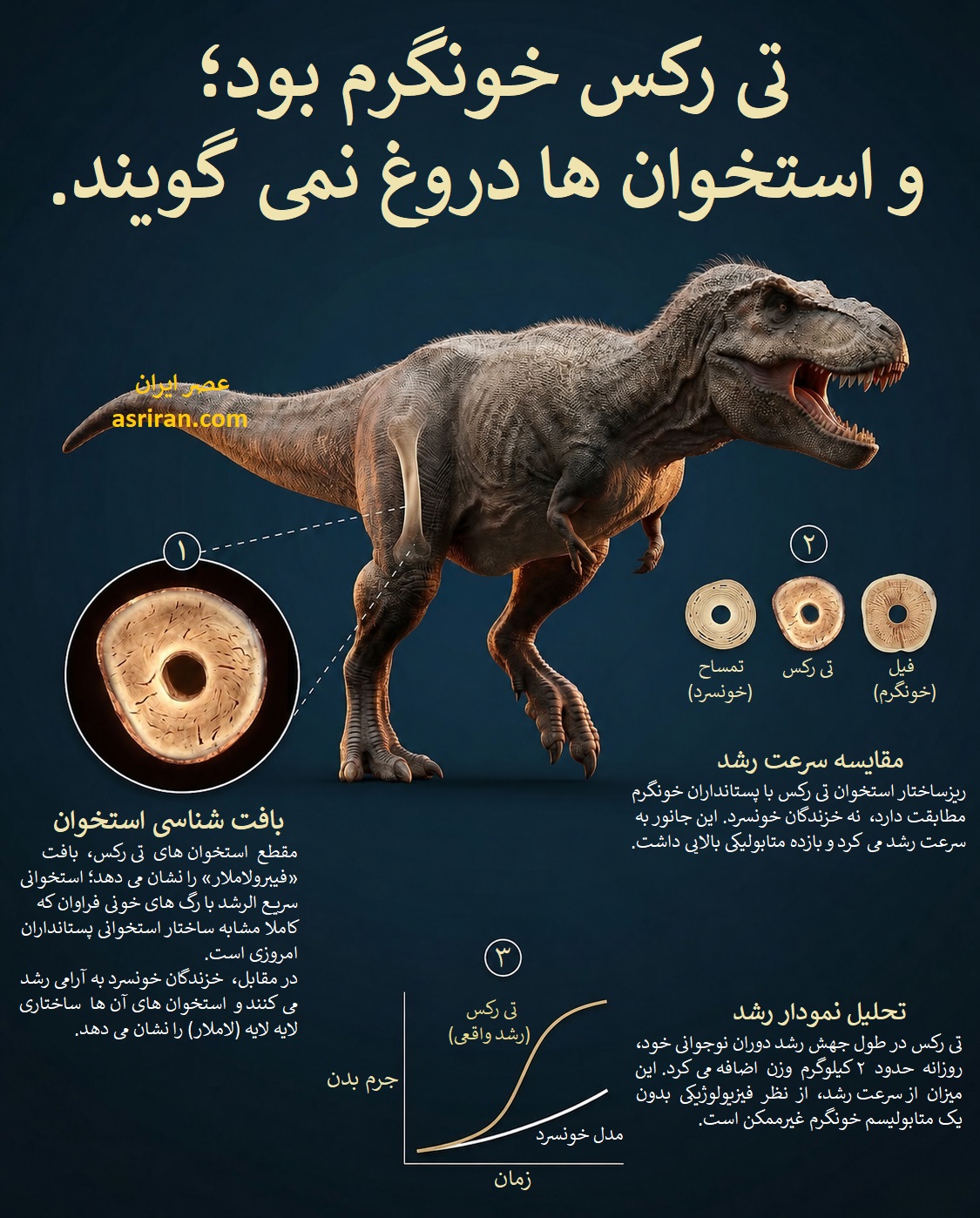 اینفوگرافیک خونگرم بودن تی رکس بر اساس بررسی استخوان اینفوگرافیک خونگرم بودن تی رکس بر اساس بررسی استخوان