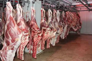 تسهیل واردات در شرایط جنگی/ تشریفات گمرکی و اداری گوشت حذف شد