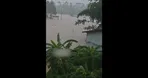 حمله ۹۰۰ مار به ساکنان مردم چین