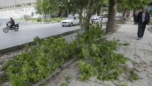 هشدار سطح نارنجی هواشناسی برای استان البرز