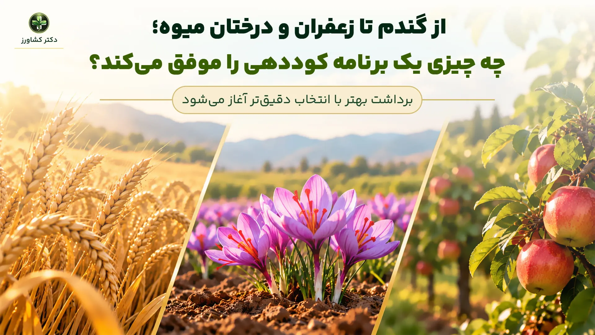 کود خوب کود خوب